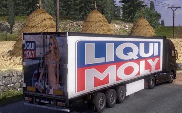 Liqui Moly Trailer Skin