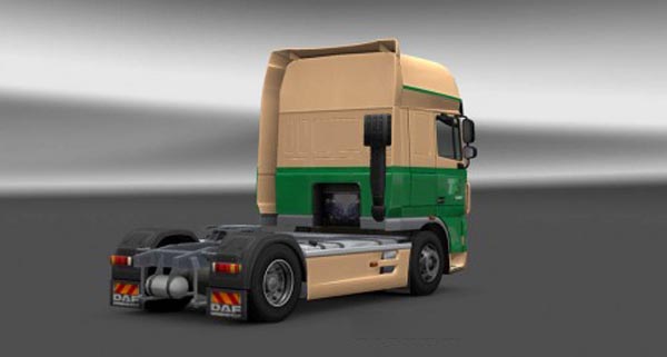 DAF TFS Company Skin 