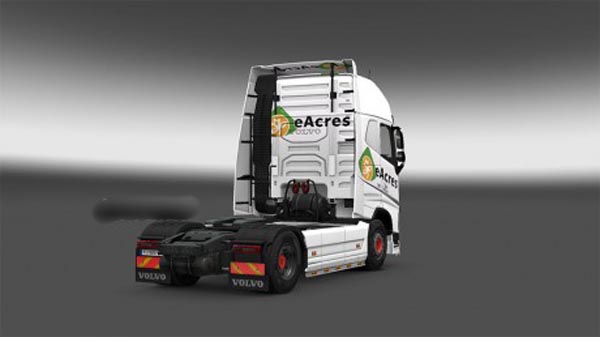 Volvo 2012 eAcres Skin 