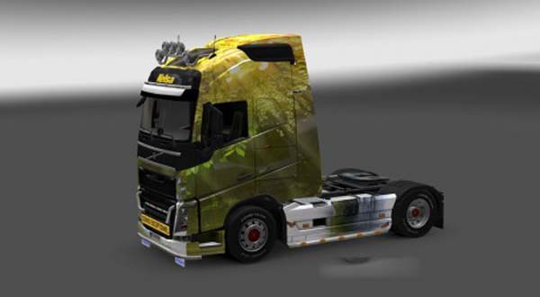 Volvo FH 2012 Nature Skin