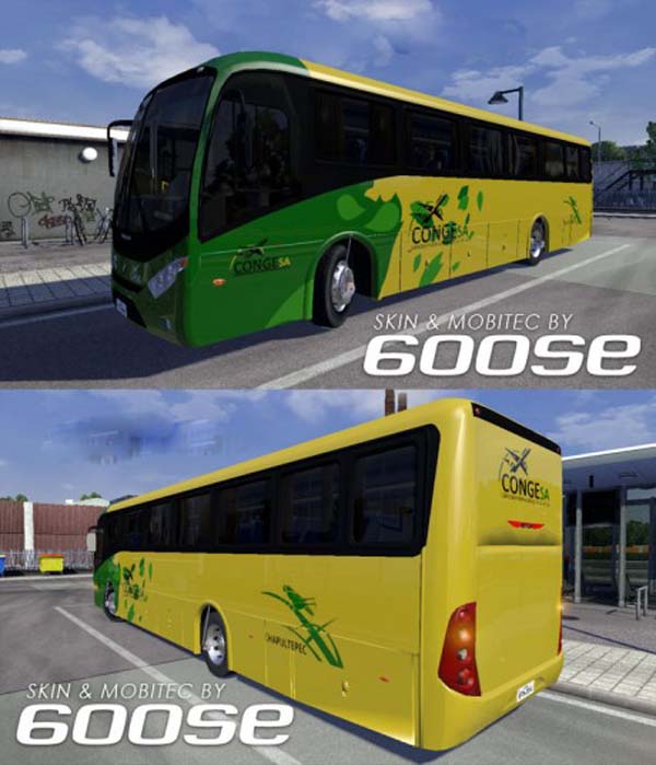 VW Ideale 770 Congesa Skin