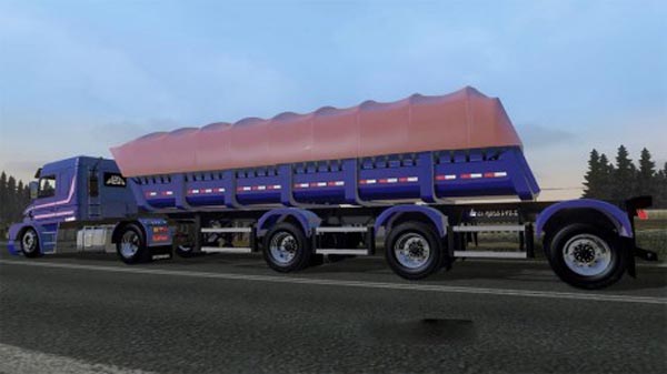 Bitrem Randon Semi Trailer