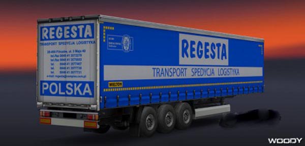 REGESTA trailer skin