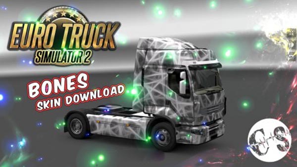 Renault Premium Bones Skin