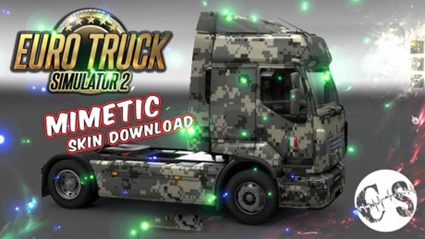 Renault Premium Simetic Skin