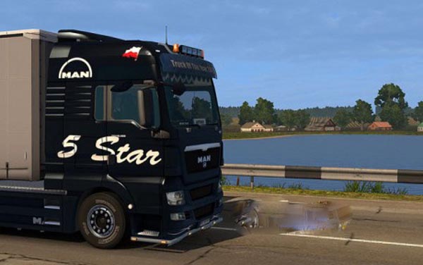 MAN TGX 5 Star Skin