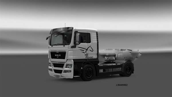 MAN TGX Skin Pegaso