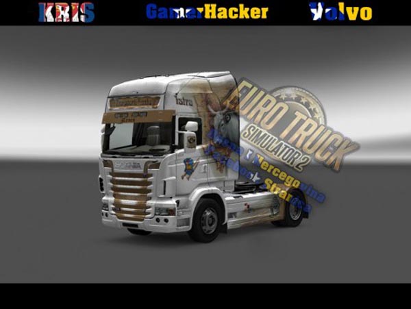 Scania R Runko Transporti Skin