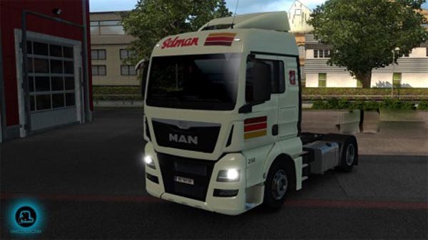 Selman Transporten MAN TGX Euro 6 skin