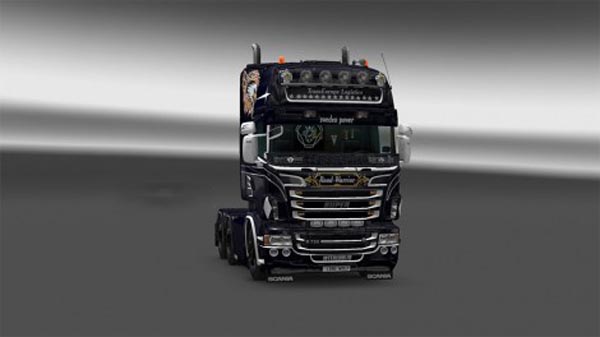 Trans Europe Logistics skin