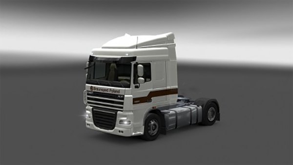 DAF XF Skin Pack Braun Spedition