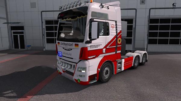 Man TGX Euro6 Skin