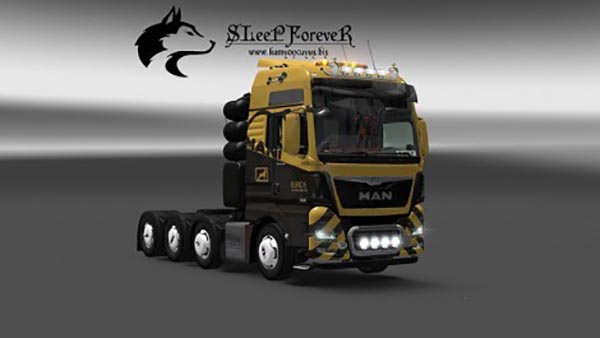 MAN TGX Euro 6 Heavy Haulage Skin