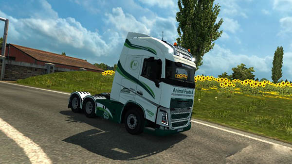 Volvo FH 2012 Mackins Skin